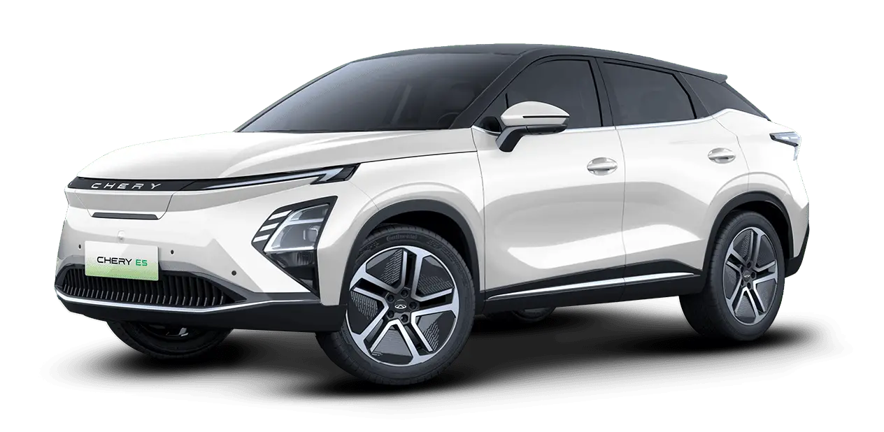 White Howlite Two-Tone